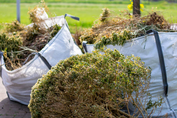 Best Trash Removal Near Me  in Pine Grove, CA